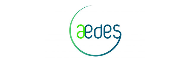Aedes